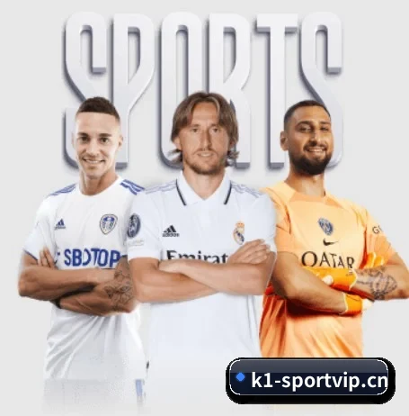 K1体育sportvip APP