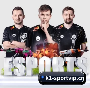 K1体育sportvip APP