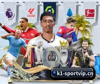 K1体育sportvip APP